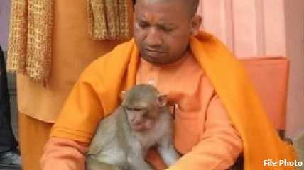 Yogi Aditya Nath with monkey