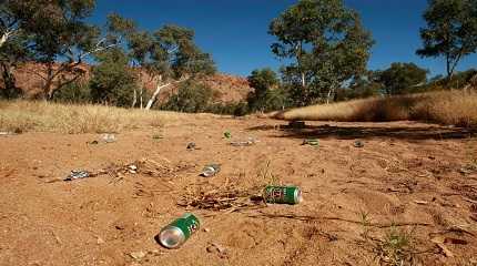 Empty beer cans