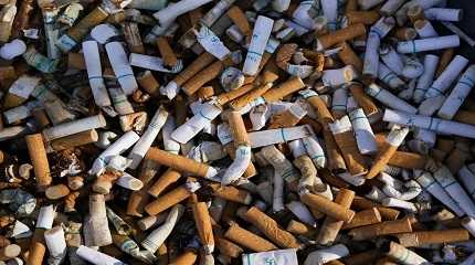 Cigarette butts