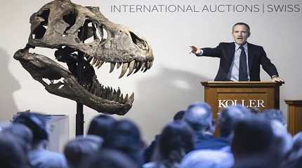 Cyril Koller CEO of auction house Koller