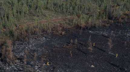 Wildfires in Canada