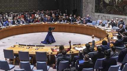 UN Security Council