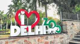  Delhi Zoo