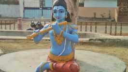 Statue of Krishna