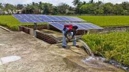 renewable energy in agricultural sector