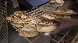 Egyptian traditional 'baladi' flatbread