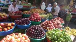  Palestinian farmers' stalls
