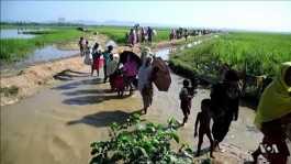  Rohingya_refugees