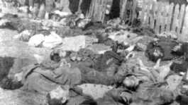 Kafr Qasem massacre