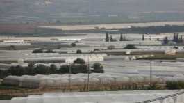 Israeli illegal farms in West Bank