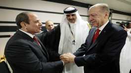 Erdogan with Abdel Fattah el-Sisi