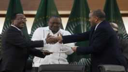 Redwan Hussein shakes hands with Getachew Reda
