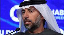 UAE's Minister of Energy and Industry Suhail Al-Mazrouei