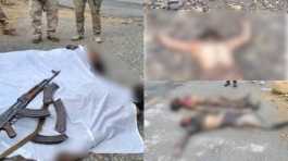 killed Daesh member