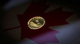 Canadian dollar coin