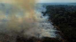Deforestation in Brazilian Amazon