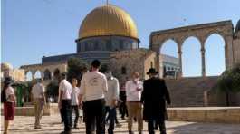 Jews at Al Aqsa mosque