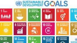 UN Sustainable Development Goal indicators