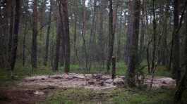 unidentified military object were found in a northern Polish forest