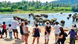 Tourism In Sri Lanka