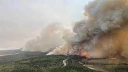 wildfire EWF-035 near Shining Bank