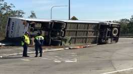 bus crashes