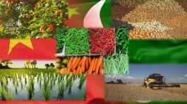 yielding crop varieties in Pakistan