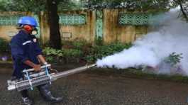 worker wearing a face mask sprays anti mosquito fog