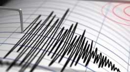 Earthquake Quake seismograph