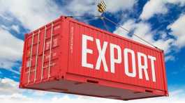 Pakistan exports