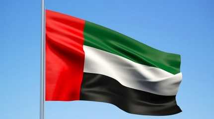  UAE flag