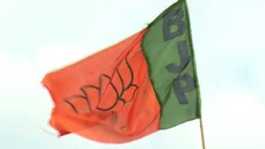 BJP flag