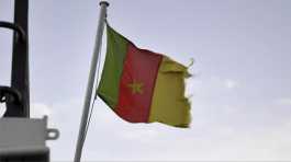 Cameroonian flag 