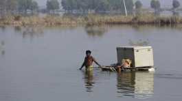 flooded area in Qambar Shahdadkot