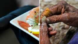 Indian shrimp worker
