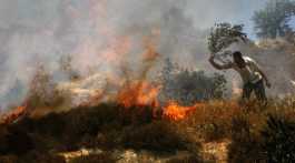 Israeli settlers burn Palestinian land crop